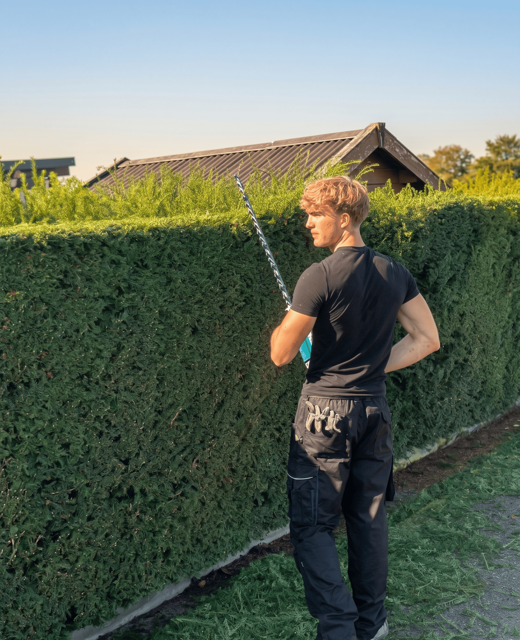 Felix Herrmann, Inhaber von HHG – Herrmann Haus- & Gartenservice in Wiesbaden