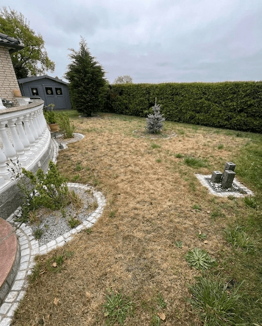 Rasen mit kahlen Stellen vor der Pflege in Wiesbaden-Delkenheim