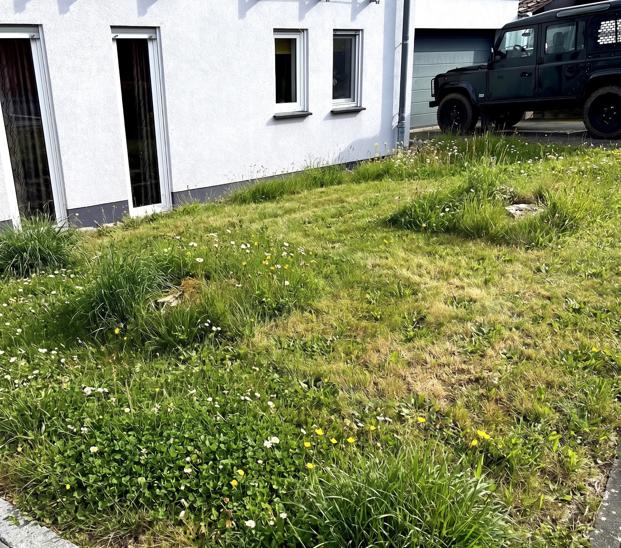 Vorgarten-Bestand vor Neugestaltung in Wiesbaden