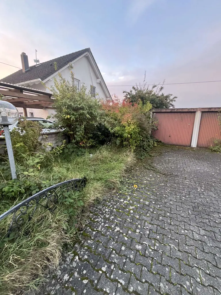 Verwilderte Einfahrt vor Gartenpflege in Wiesbaden-Delkenheim