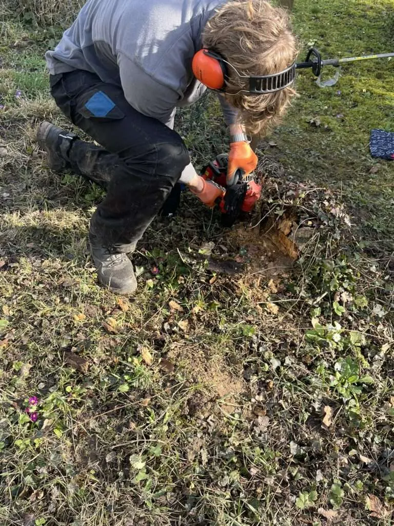 Gartenpflege in Wiesbaden – Rasen- und Beetpflege durch HHG
