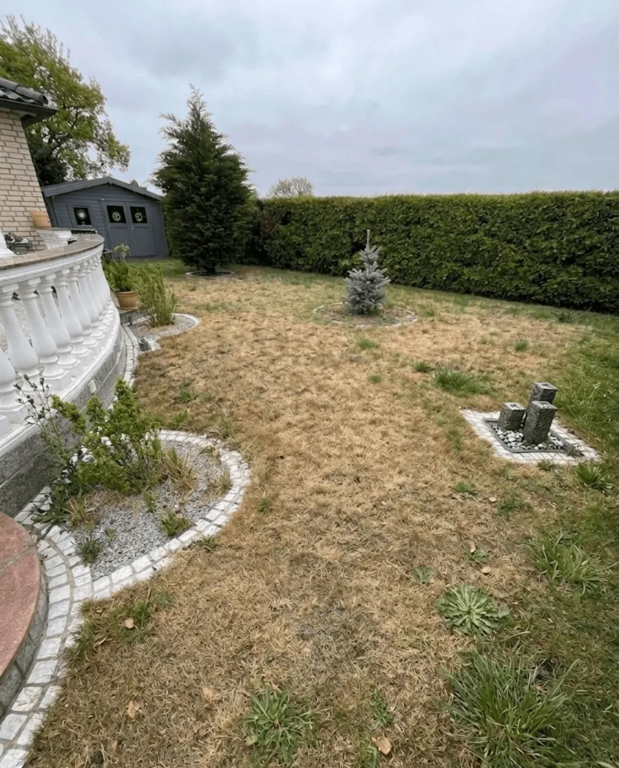 Rasen mit kahlen Stellen vor der Pflege in Wiesbaden-Delkenheim